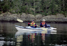 Canada-British Columbia-Johnstone Straight Sea Kayaking